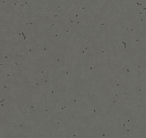 Линолеум Forbo Sphera Energetic 50215 ebony фото 1 | FLOORDEALER